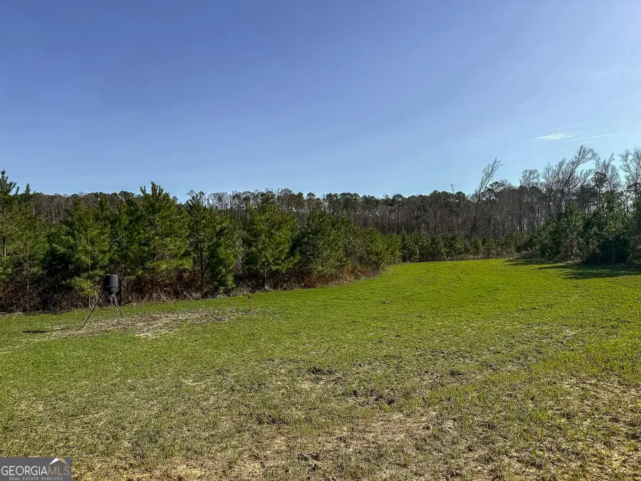 1298 Days Avenue, Morris, GA 39867 - #2