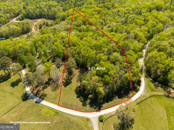 LOT 3 Spring Camp Road, Ellijay, GA 30536