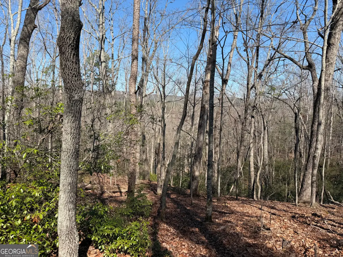 0 Tanager Trail, Alto, GA 30510 - #1