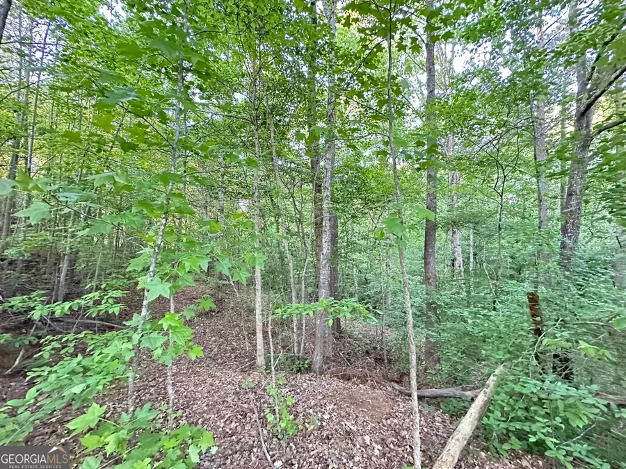 9550 Grande Drive, Winston, GA 30187 - #3