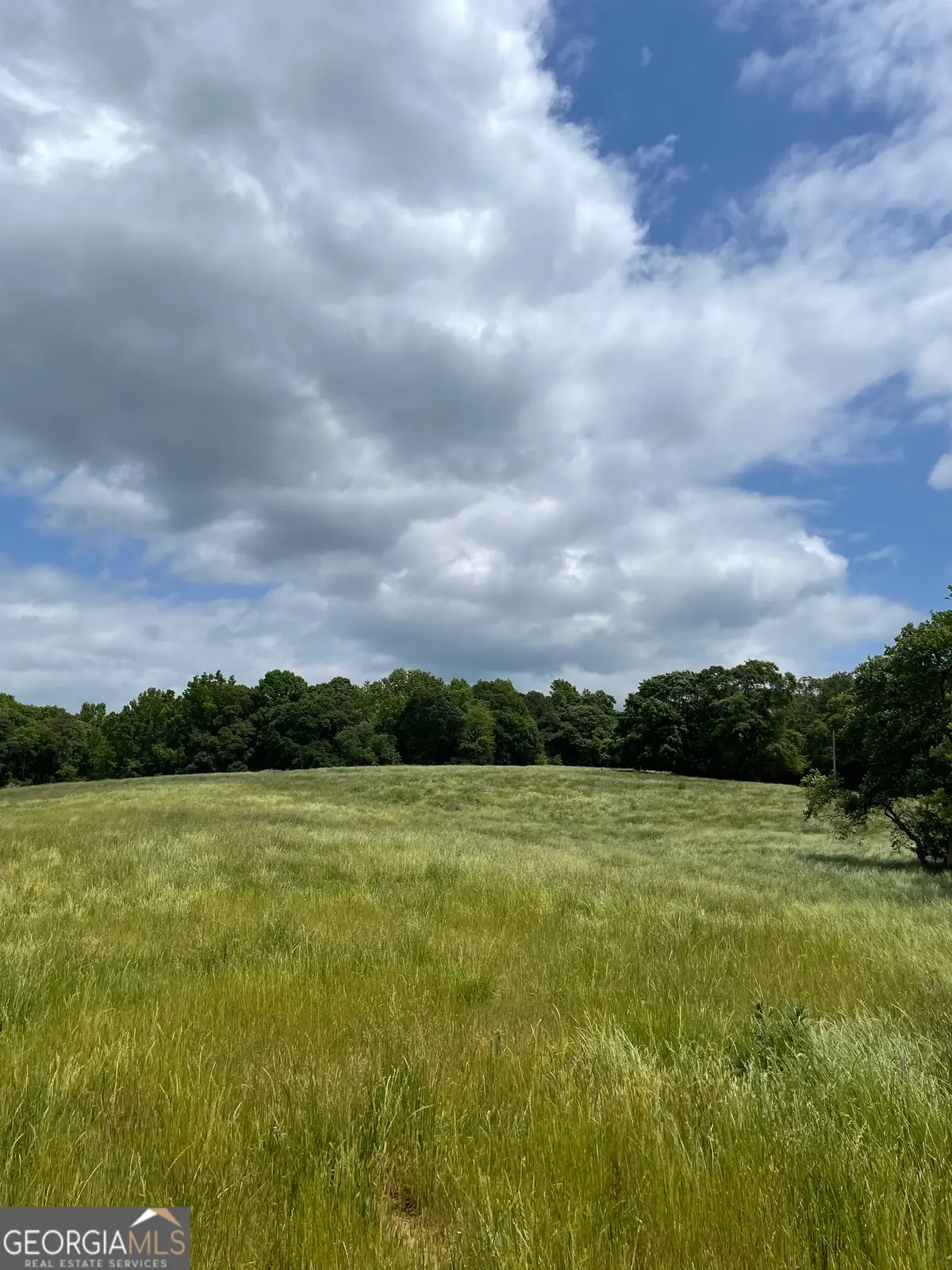 0 Quail Run Rd, Royston, GA 30662 - #1