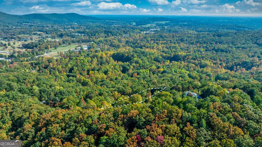 333 Song Bird Drive, Cleveland, GA 30528 - #3