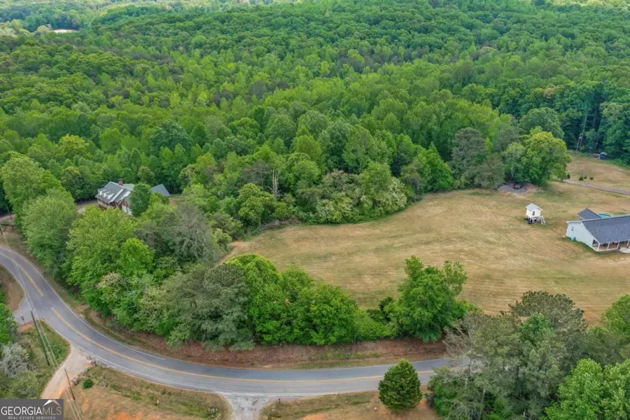 0 Anderson Lake Road, Dawsonville, GA 30534 - #2