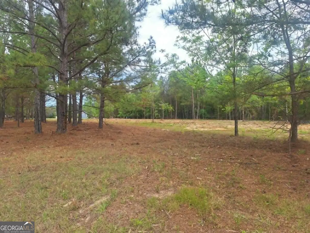 0 Cv Mosley Blvd, Lyons, GA 30436 - #1