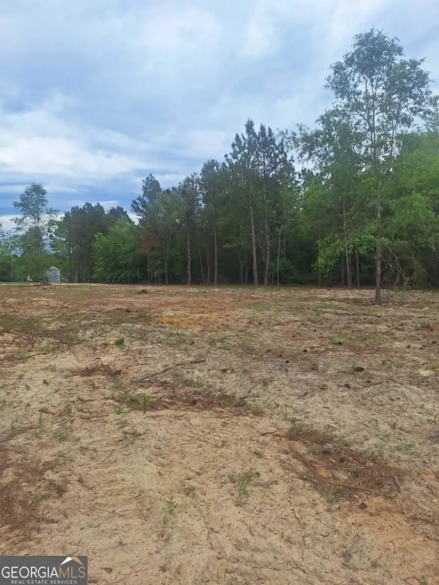 0 Cv Mosley Blvd, Lyons, GA 30436 - #3