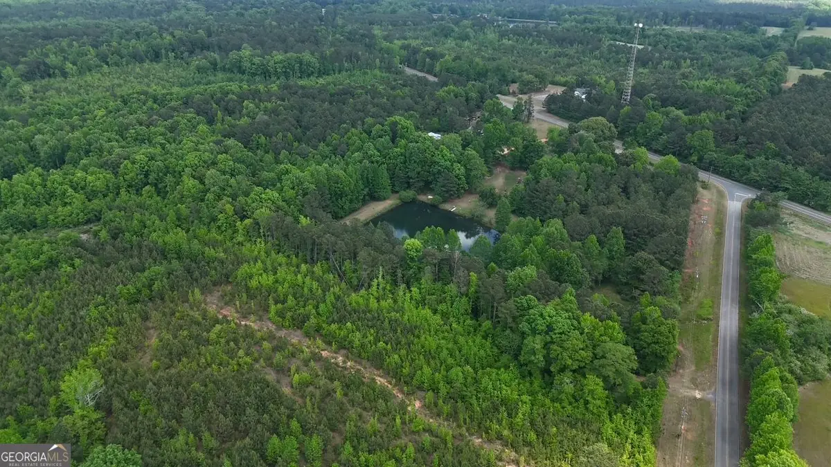 268 Ogletree Road, Greenville, GA 30222 - #1