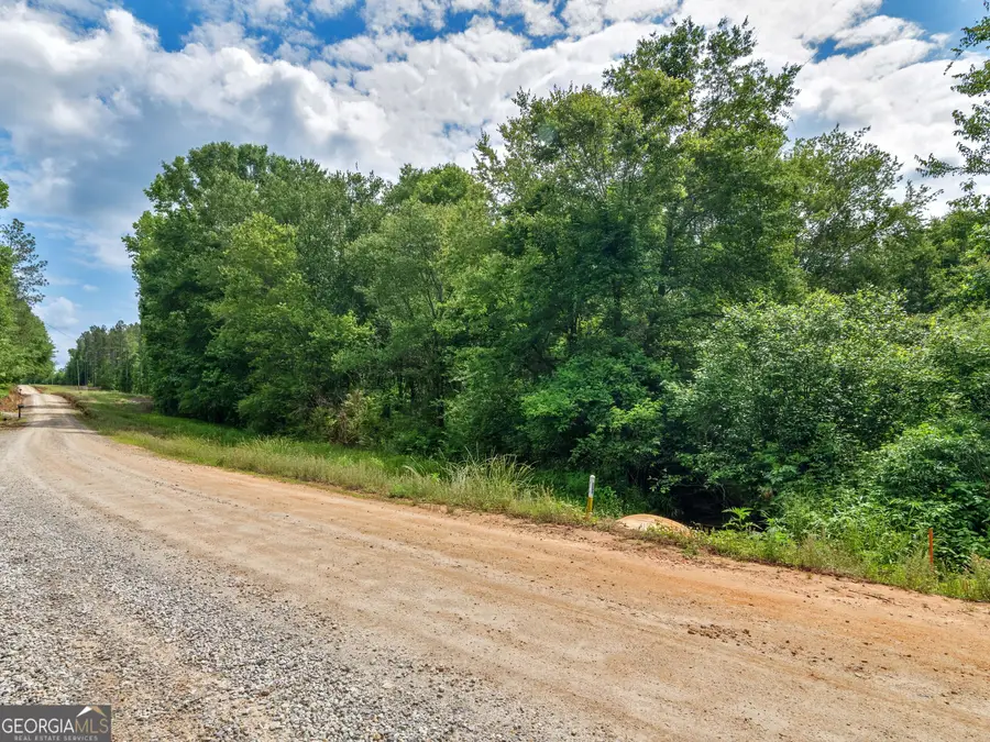 0 Perkins Road, Barnesville, GA 30204 - #2