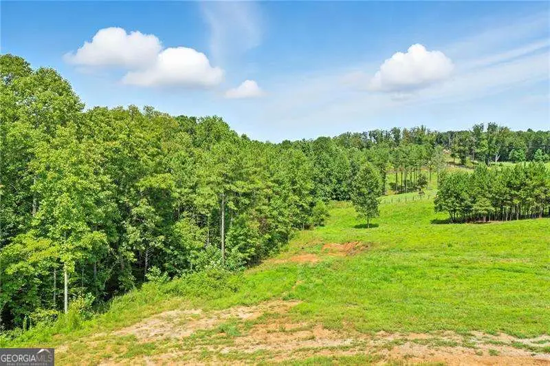 3511 Reavis Mountain #2 Road, Ball Ground, GA 30107 - #1