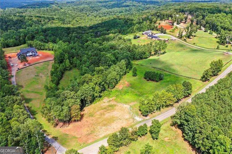 3511 Reavis Mountain #2 Road, Ball Ground, GA 30107 - #3