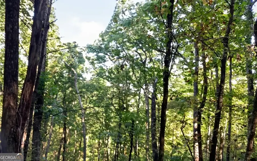 0 Walnut Mountain Road #TRACT A, Ellijay, GA 30536 - #2