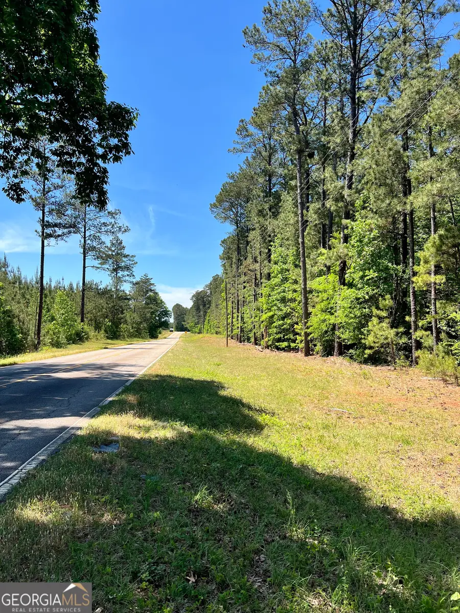 0 Lyneville Road, Crawfordville, GA 30631 - #2