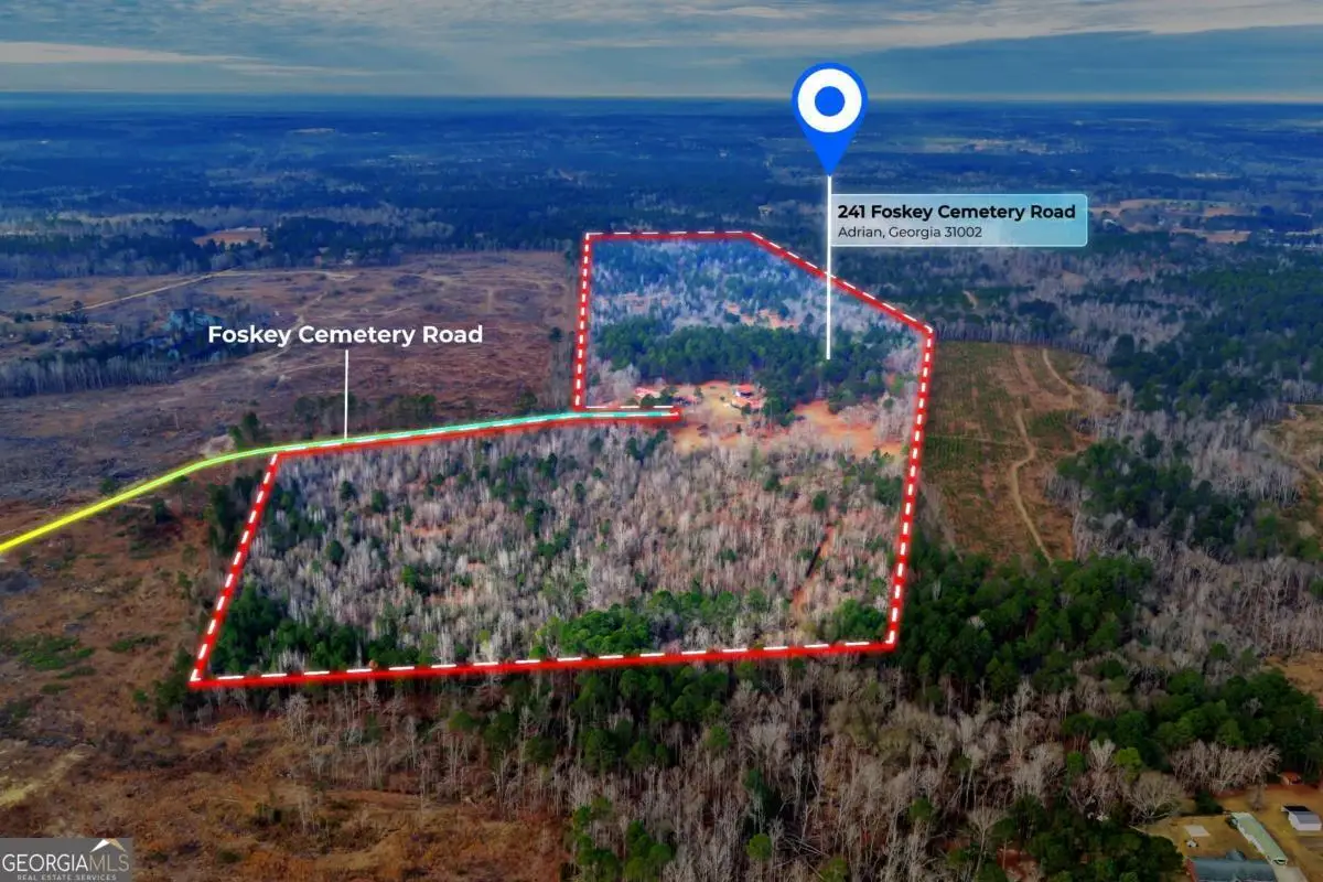 241 Foskey Cemetary Road, Adrian, GA 31002 - #1