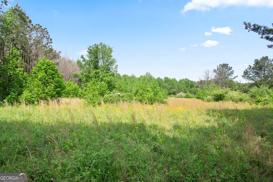 3ACRES Satcher Road, Taylorsville, GA 30178 - #2