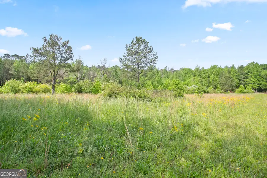 3ACRES Satcher Road, Taylorsville, GA 30178 - #3