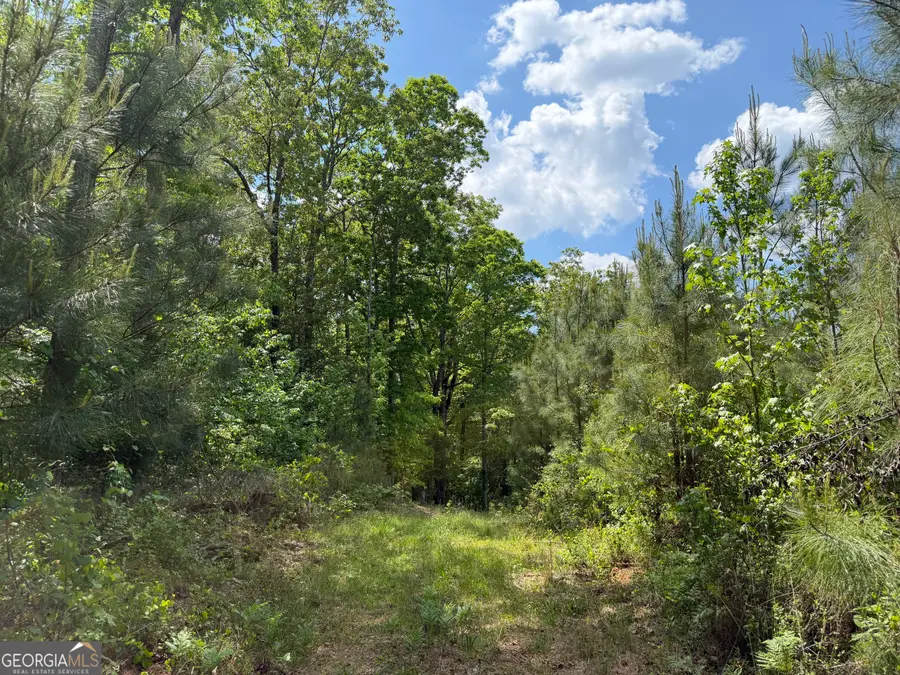 0077 George Milling Rd, Cuthbert, GA 39840 - #2
