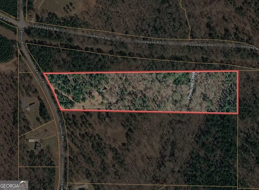 537 Zellner Road, Forsyth, GA 31029 - #3