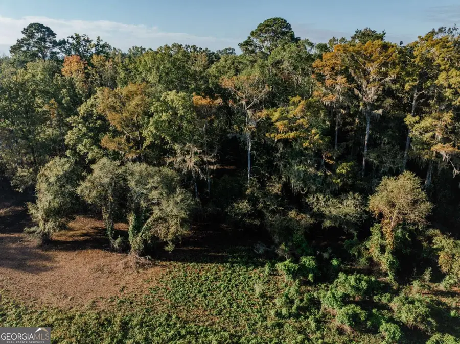 0 Eagles Point #LOT 8, Surrency, GA 31563 - #2