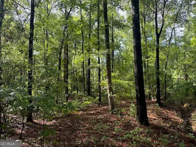 LOT 08 Winchester Way, Sandersville, GA 31082 - #2