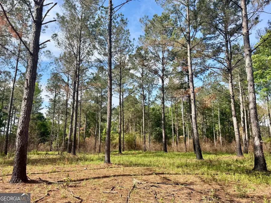 0 Folds Road, Pineview, GA 31071 - #2