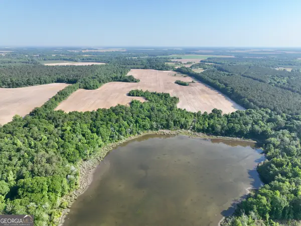 0 Folds Road, Pineview, GA 31071