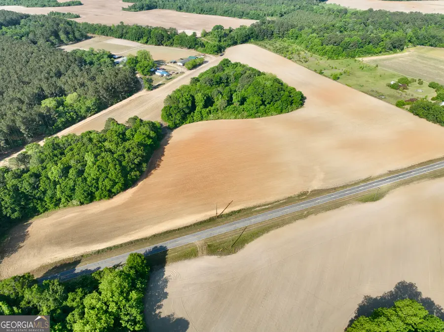0 Folds Road, Pineview, GA 31071 - #3