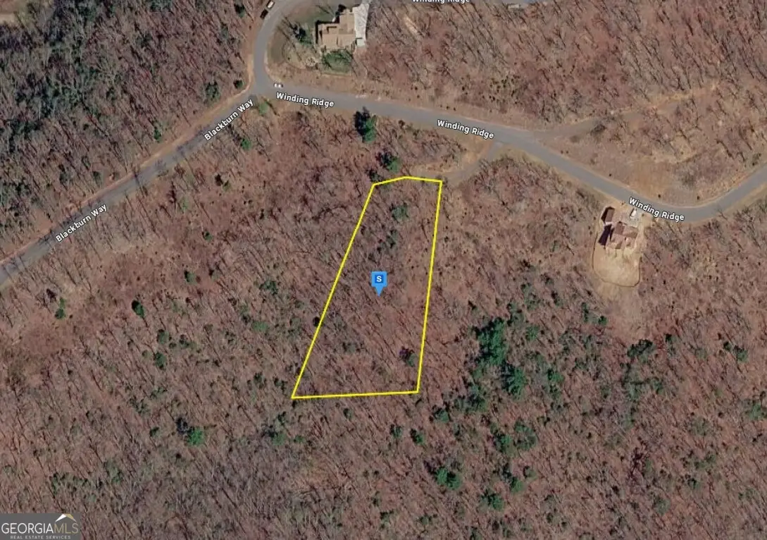 1180 Winding Ridge, Blairsville, GA 30512 - #1