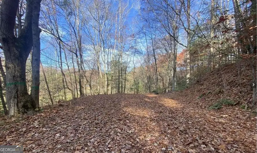 1 Barefoot Hills Road, Hiawassee, GA 30546 - #2