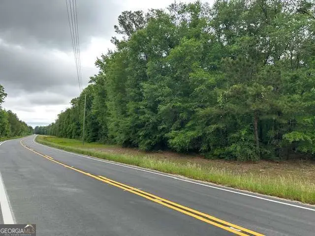 0 Old Louisville Road, Guyton, GA 31312 - #2