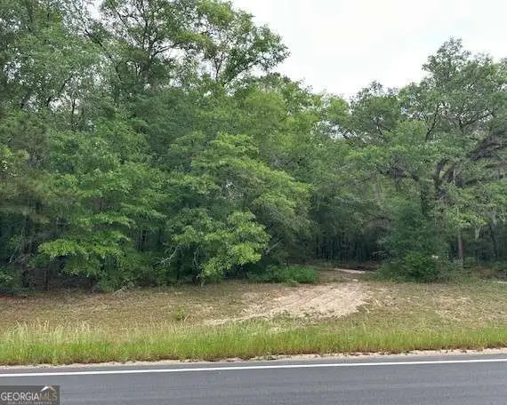 0 Old Louisville Road, Guyton, GA 31312 - #3