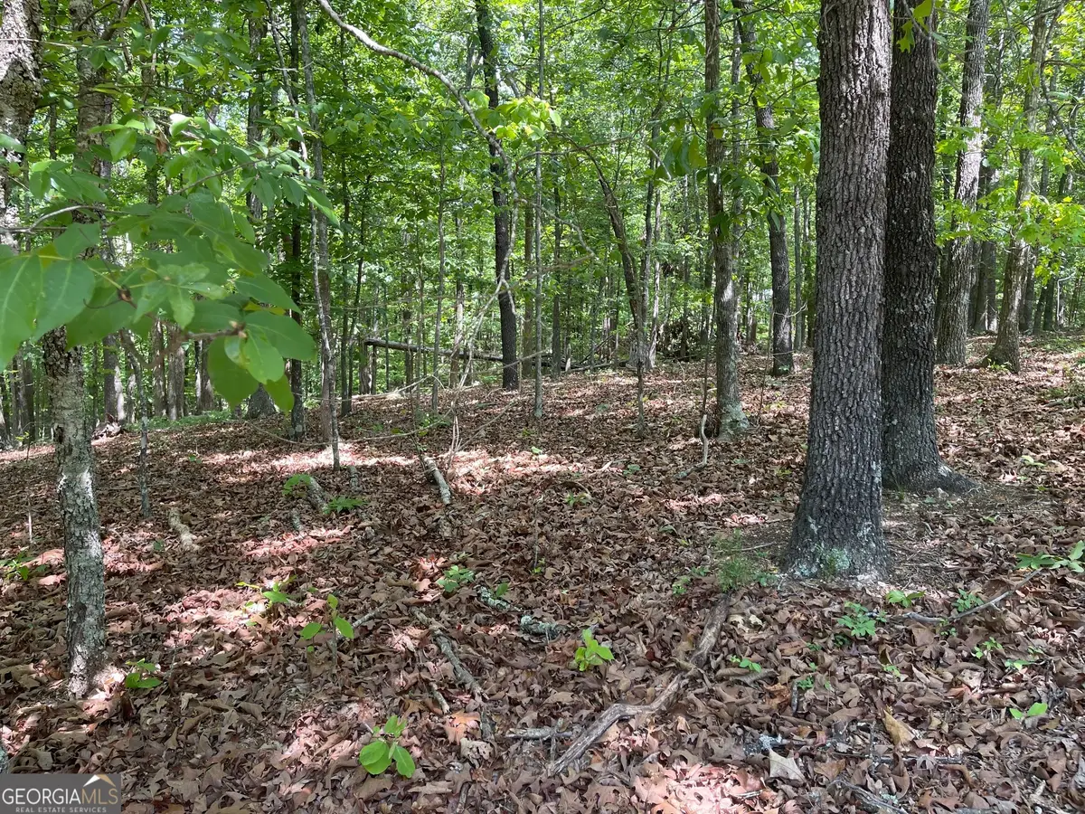 LOT 2& 3 Chalcrest Way, Cave Spring, GA 30124 - #1