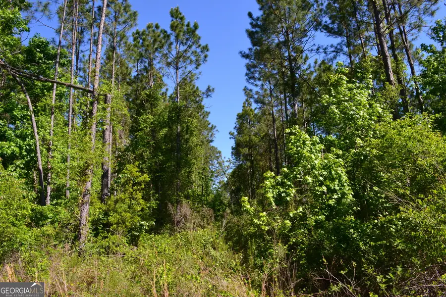 0 Scotland Road, Dublin, GA 31021 - #3