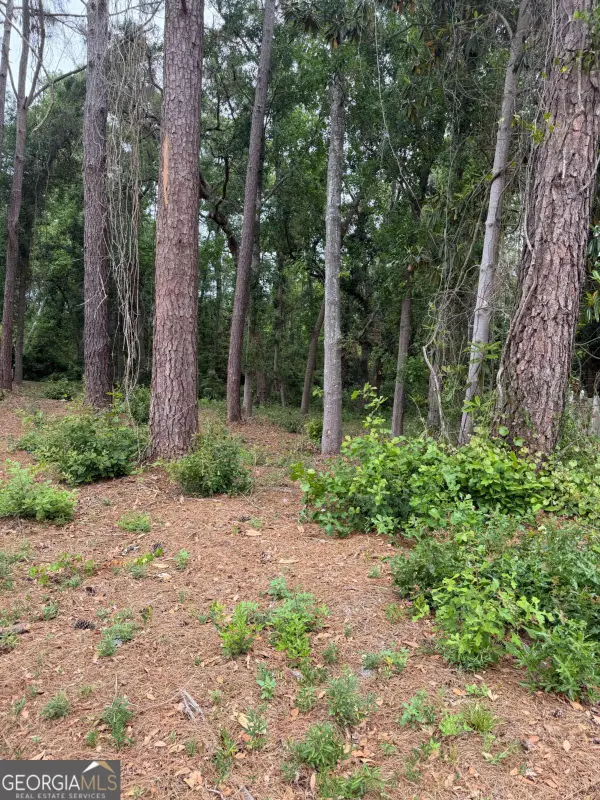 134 Palmera Lane, Brunswick, GA 31520