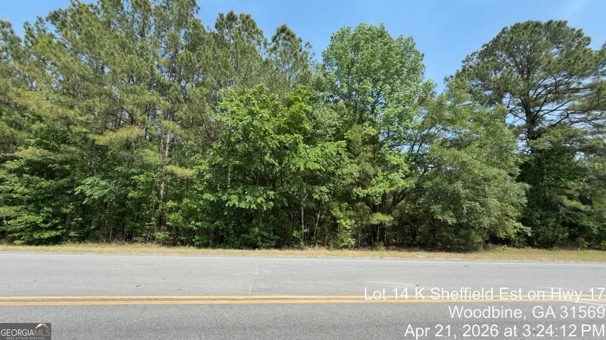 LOT 14 K Sheffield Est On Hwy 17, Woodbine, GA 31569 - #1