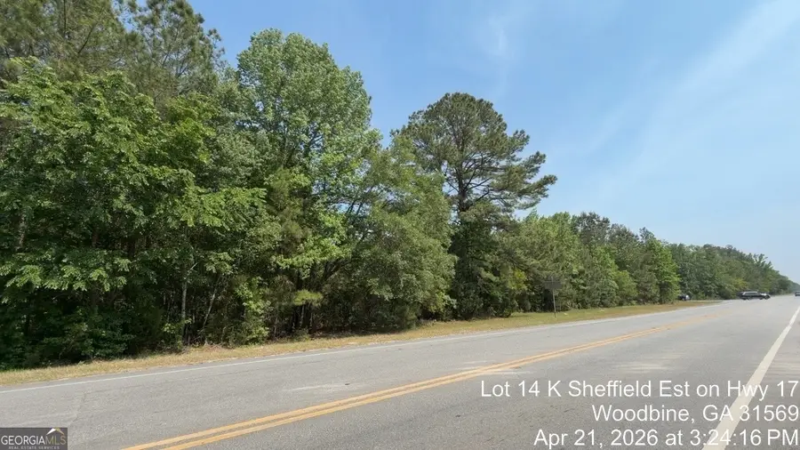 LOT 14 K Sheffield Est On Hwy 17, Woodbine, GA 31569 - #2