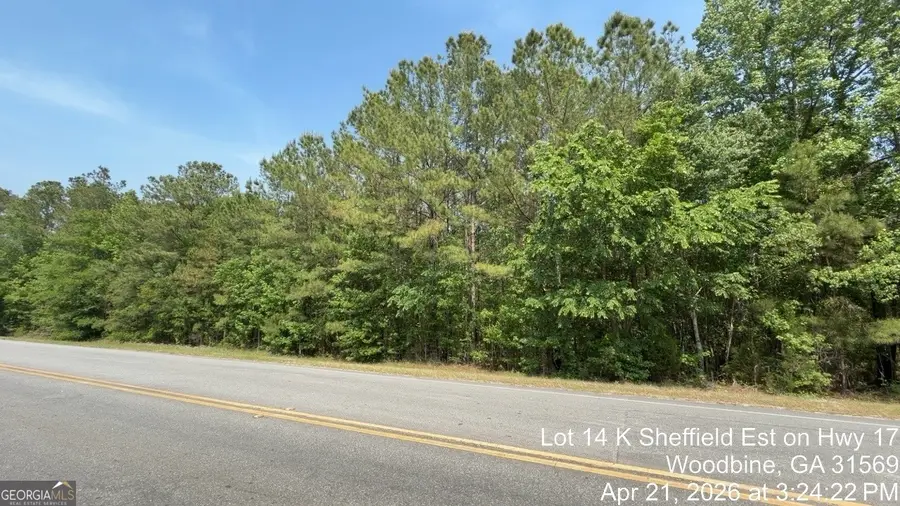 LOT 14 K Sheffield Est On Hwy 17, Woodbine, GA 31569 - #3