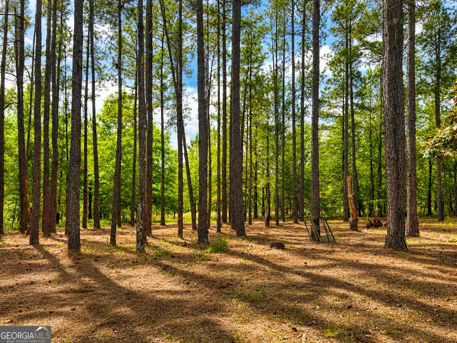 1059 Rabitsch Road, Millen, GA 30442 - #3