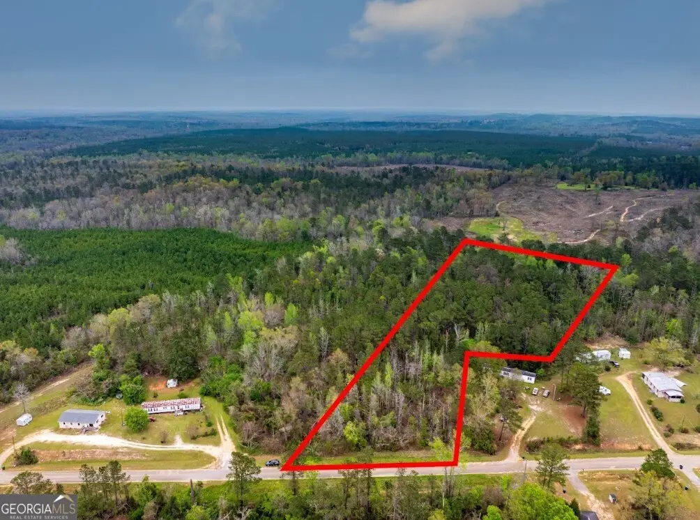 0 Morris Station #TRACT A, Morris, GA 39867 - #1