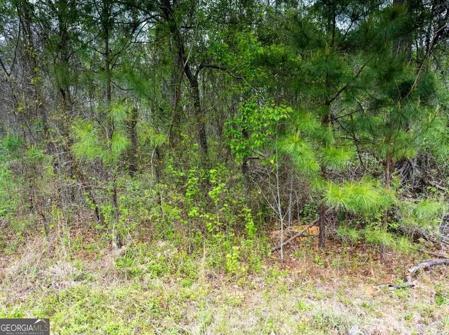 0 Morris Station #TRACT A, Morris, GA 39867 - #3