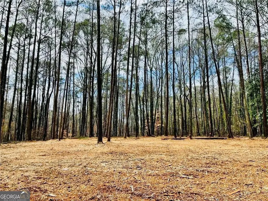 6099 Old Alabama Road Sw, Austell, GA 30168 - #2