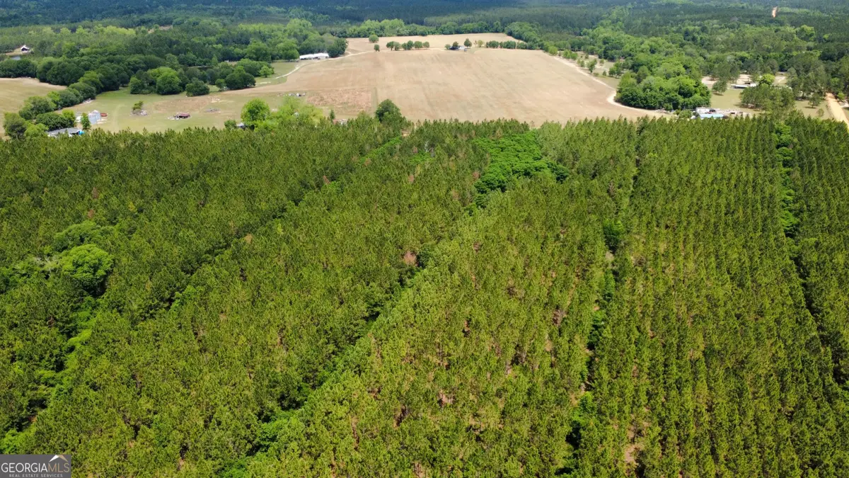 0 Sunflower Road, Fitzgerald, GA 31750 - #1