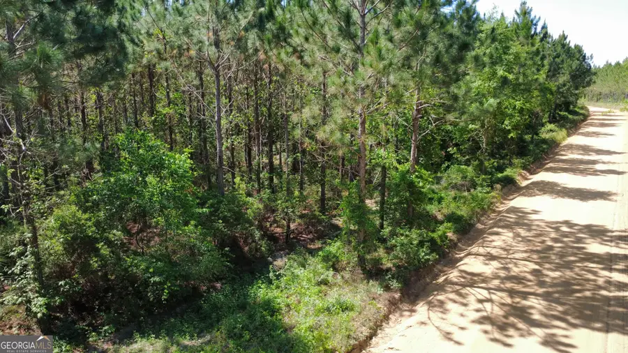 0 Sunflower Road, Fitzgerald, GA 31750 - #3