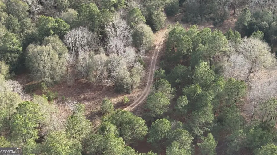 2 Country Club Road #LOT 2, Sylvania, GA 30467 - #3