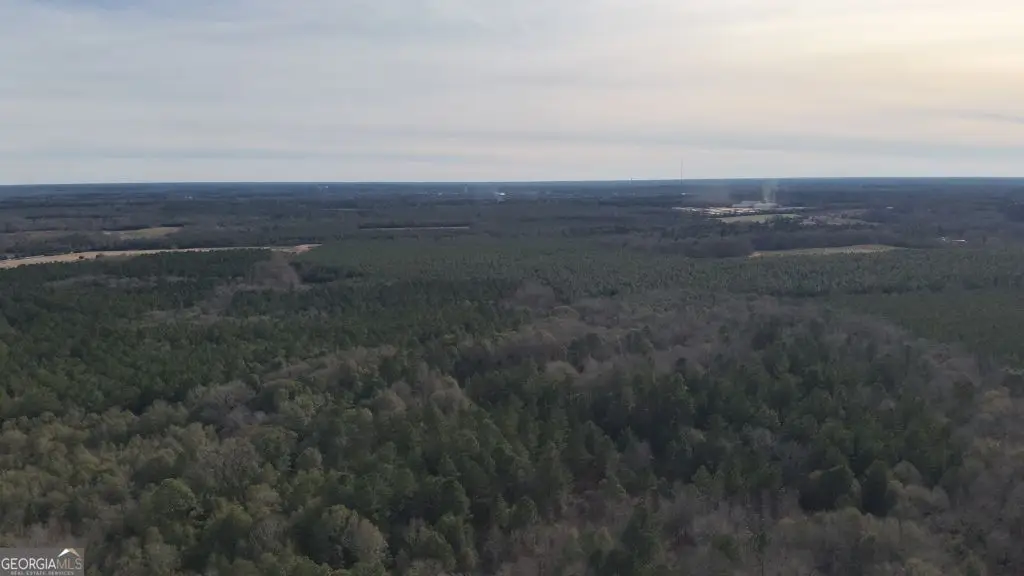 3 Country Club Road #LOT 3, Sylvania, GA 30467 - #1