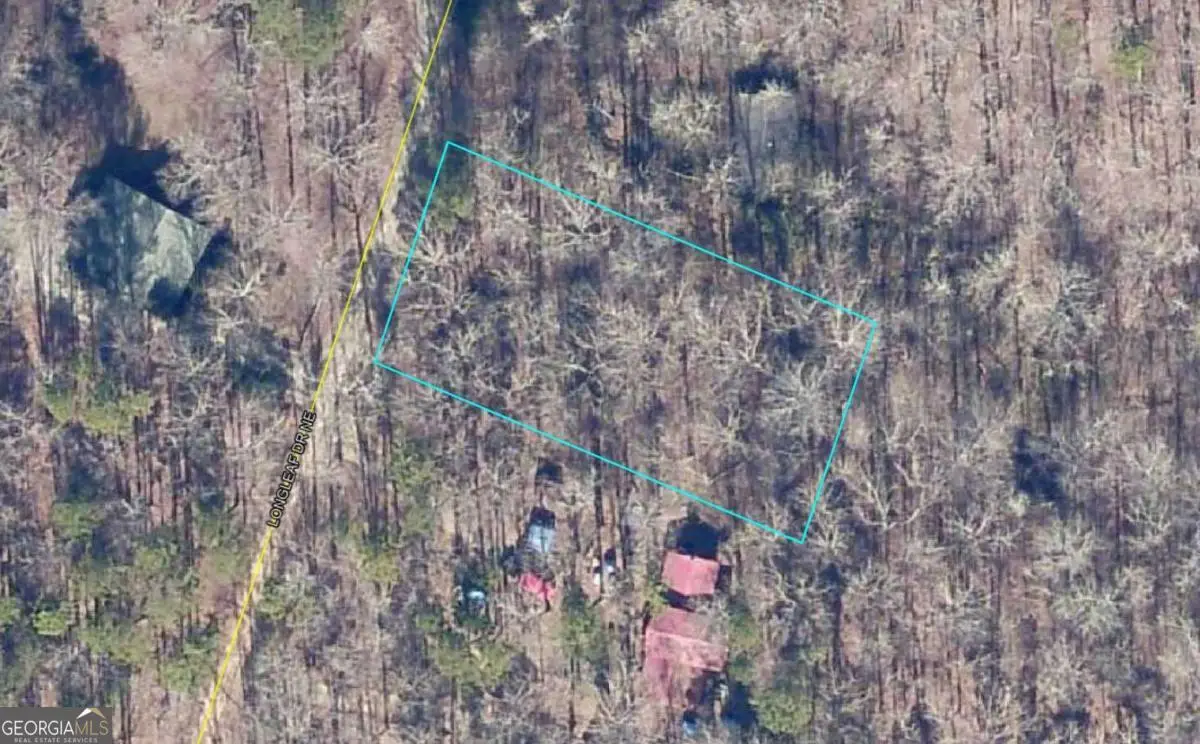 0 Long Leaf Drive, Thomson, GA 30824 - #1