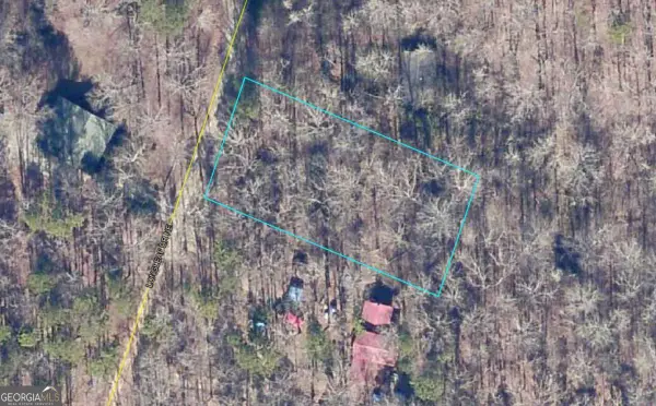 0 Long Leaf Drive, Thomson, GA 30824