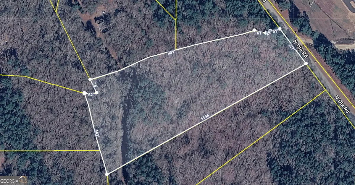 1585 N Ola Road, McDonough, GA 30252 - #1