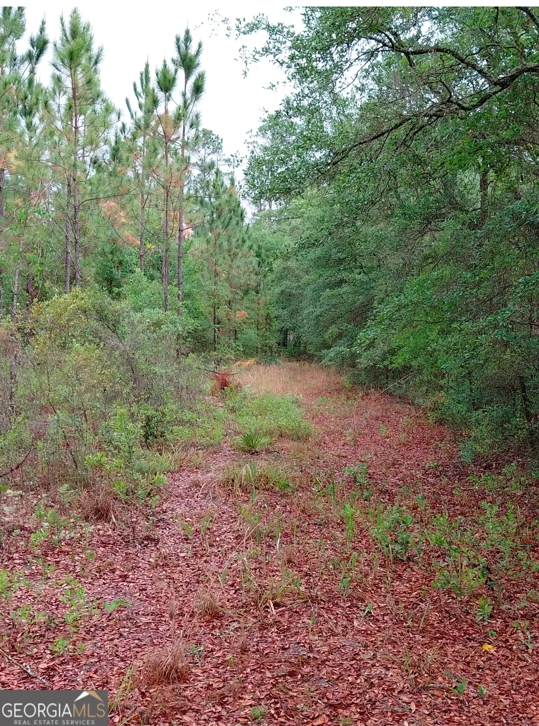 779 Ralph Davis Road, Folkston, GA 31537 - #1