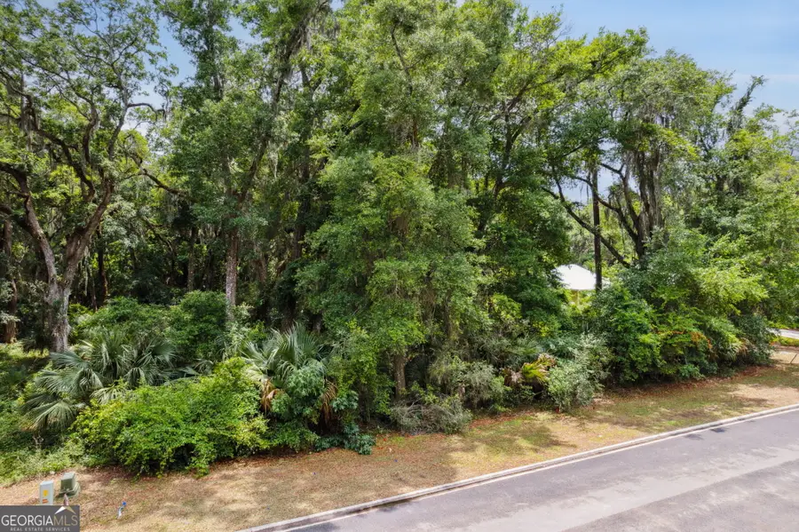 0 Doubloon V/l 1007 Court, Saint Marys, GA 31558 - #3