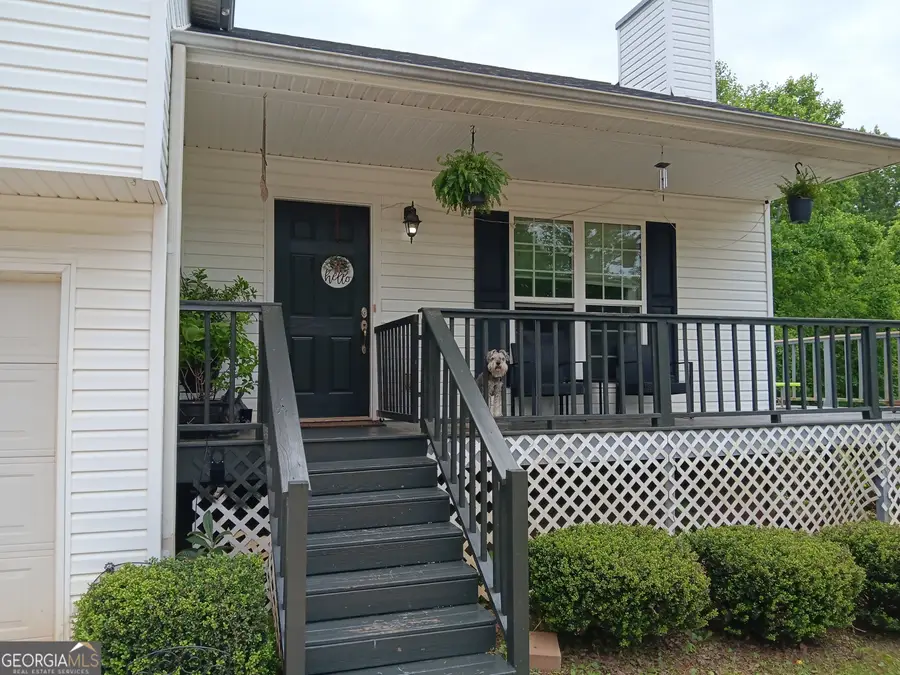 392 Ivy Hills Circle, Mount Airy, GA 30563 - #3