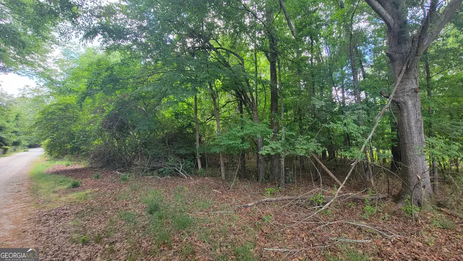 0 Lester Road, Athens, GA 30607 - #3